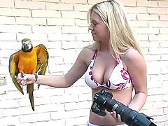Big-breasted blonde Alison Angel has a photo shoot in the yard