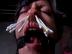 Slave yelling when tortured using pegs in BDSM porn