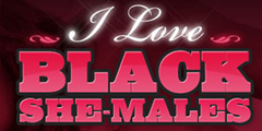 I Love Black Shemales Video Channel