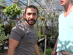 A bearded queer blows and gets fucked in a greenhouse